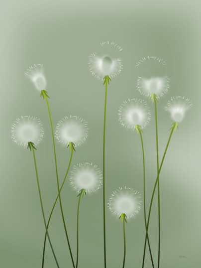 <b>Dandelions</b>