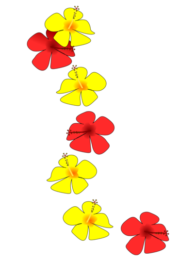 <b>Hibiscus</b>