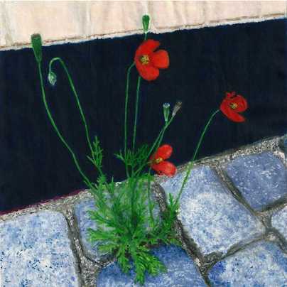 <b>Wedding's poppies.<br>Ærøskøbing, Denmark</b><br>Watercolor. 2014