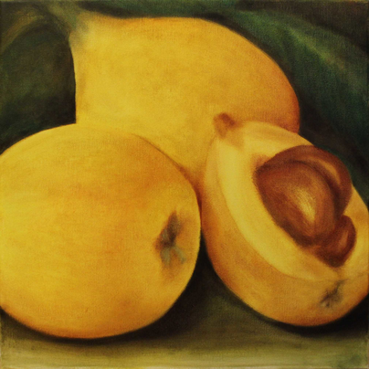 <b>Loquats</b><br>Oil on canvas. 2020