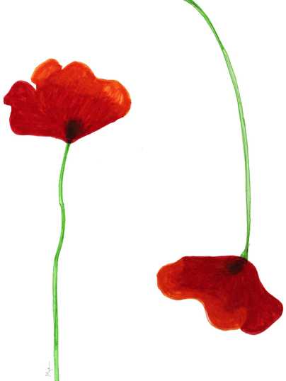 <b>Poppies</b>