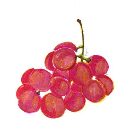 <b>Grapes</b>